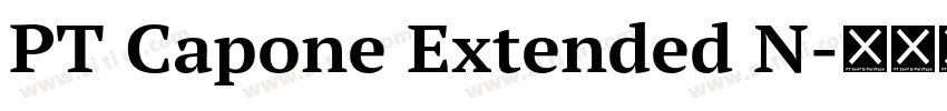 PT Capone Extended N字体转换